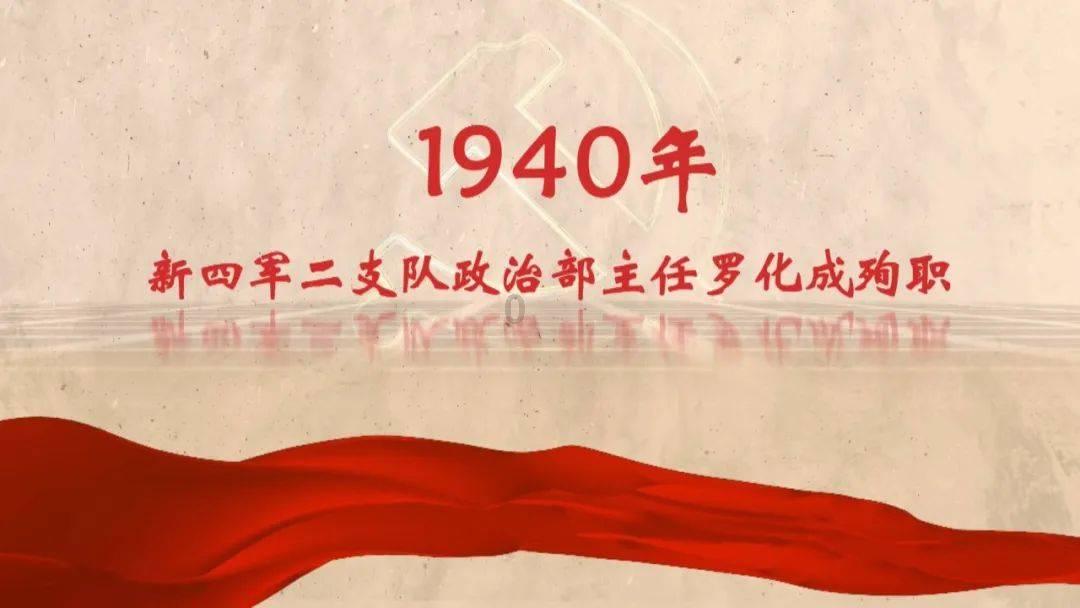 逗小猴开心系列176